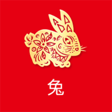 兔