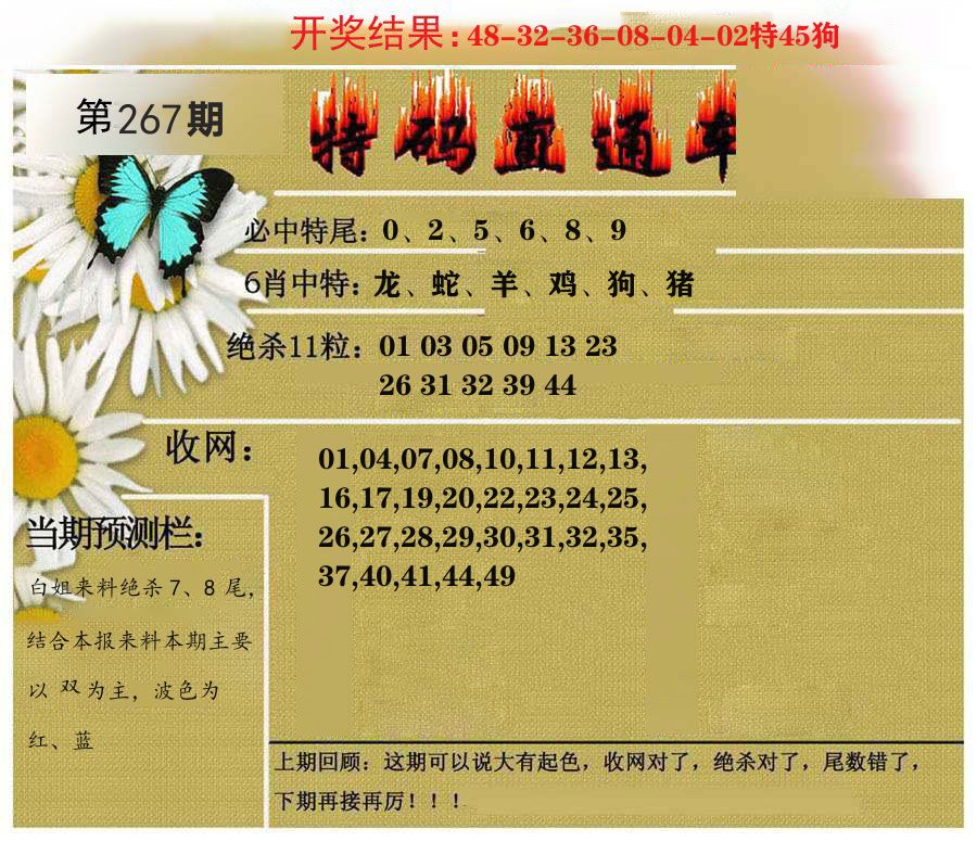 特码直通车 第267期