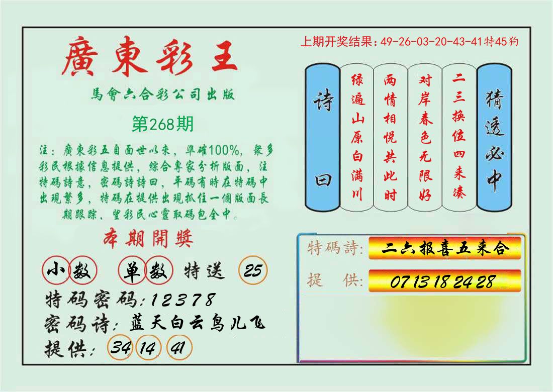 广东彩王 第267期