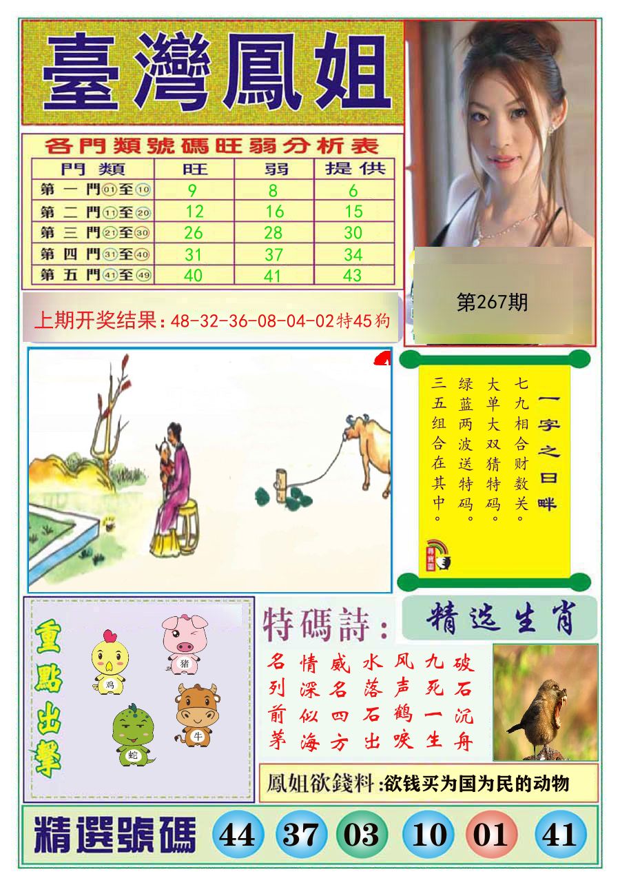 台湾凤姐 第267期