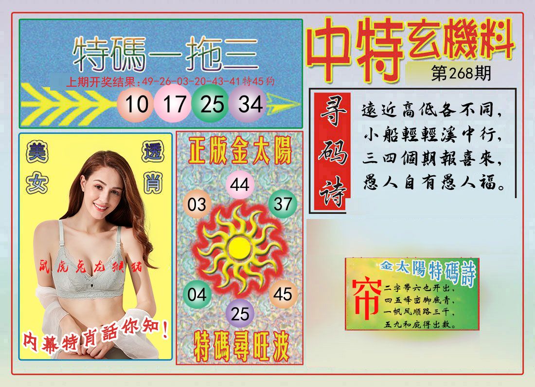 中特玄机料 第267期