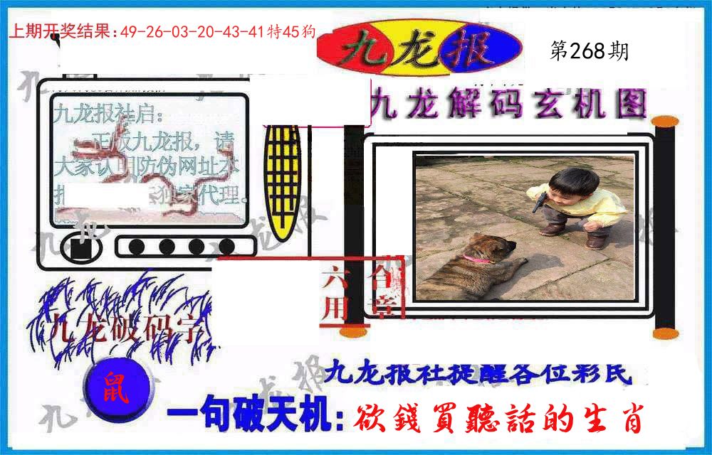 九龙报(信封) 第268期