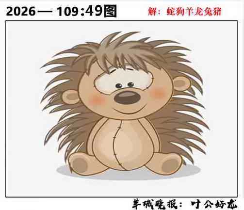 49图 第109期