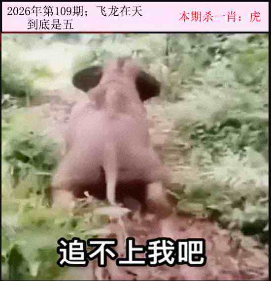 今日闲情 第109期