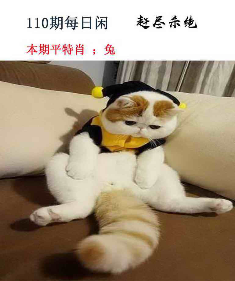 每日闲情 第110期