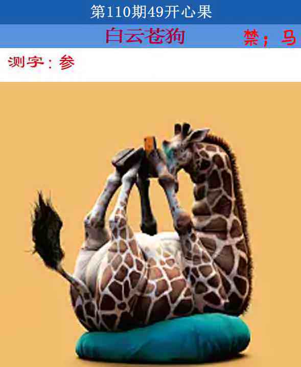 四九开心果 第109期