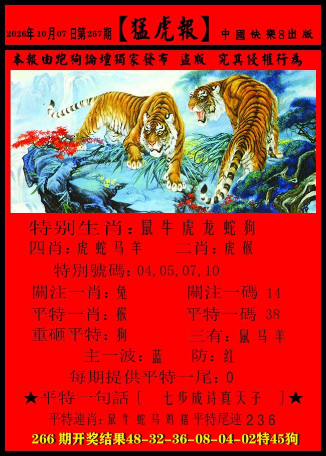 猛虎报 第267期