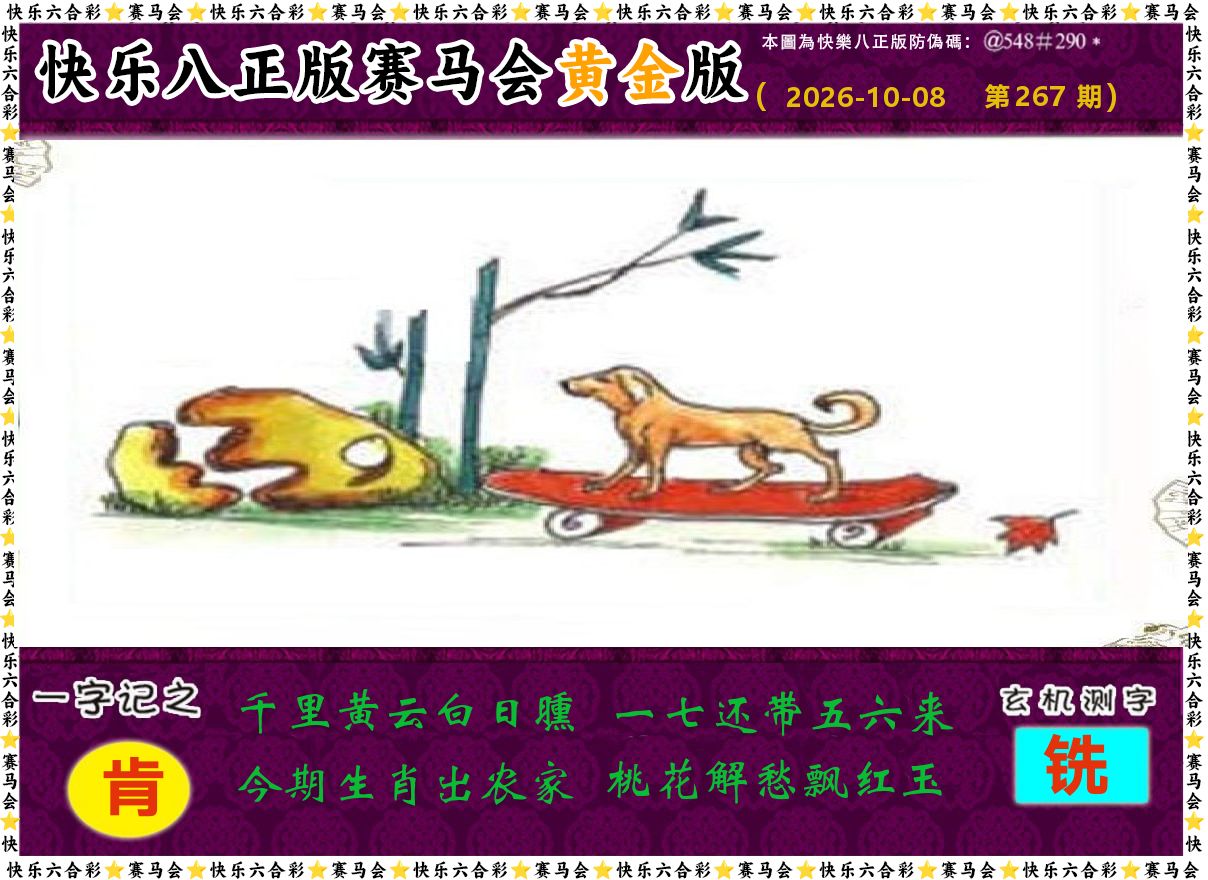 赛马会黄金版 第267期