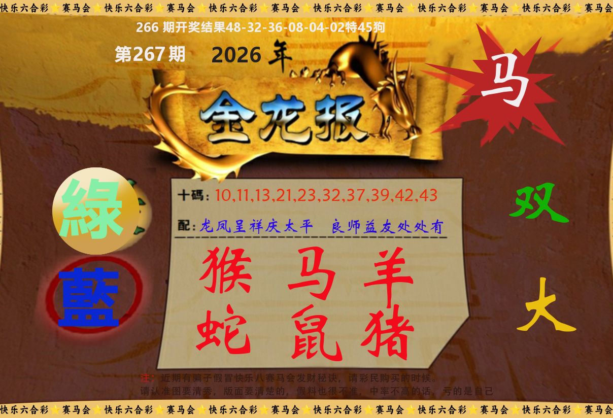金龙报 第267期