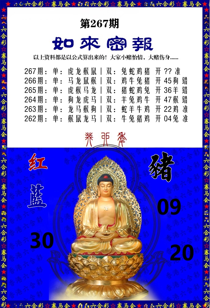如来密报 第267期