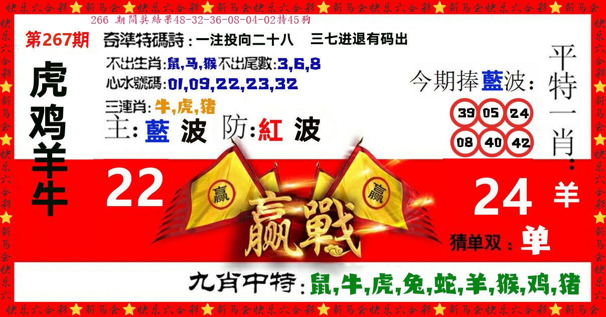 赢站 第267期