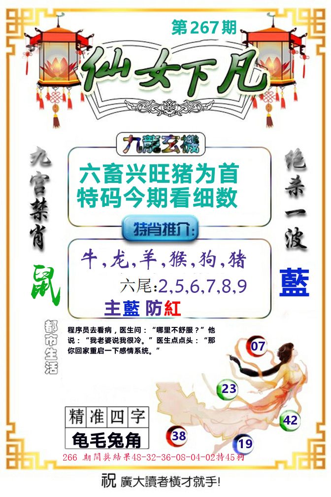 仙女下凡 第267期