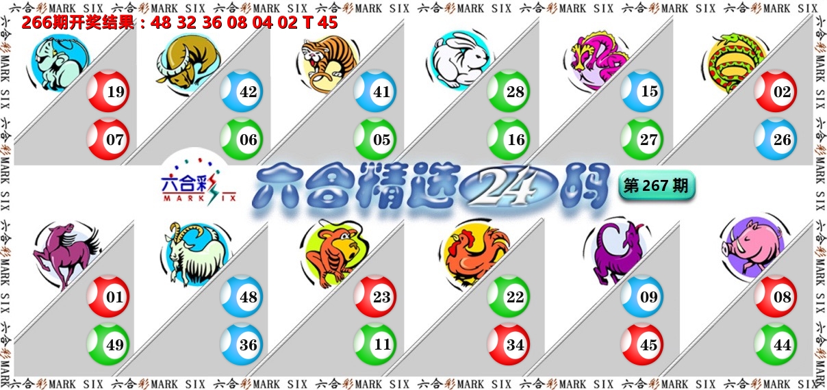 六合精选24码 第267期
