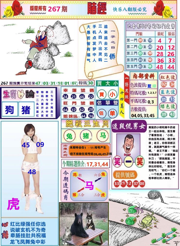 快乐八赌经 第267期