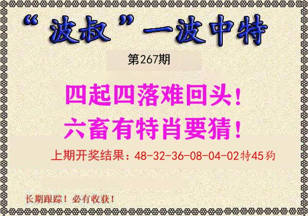波叔中特 第267期