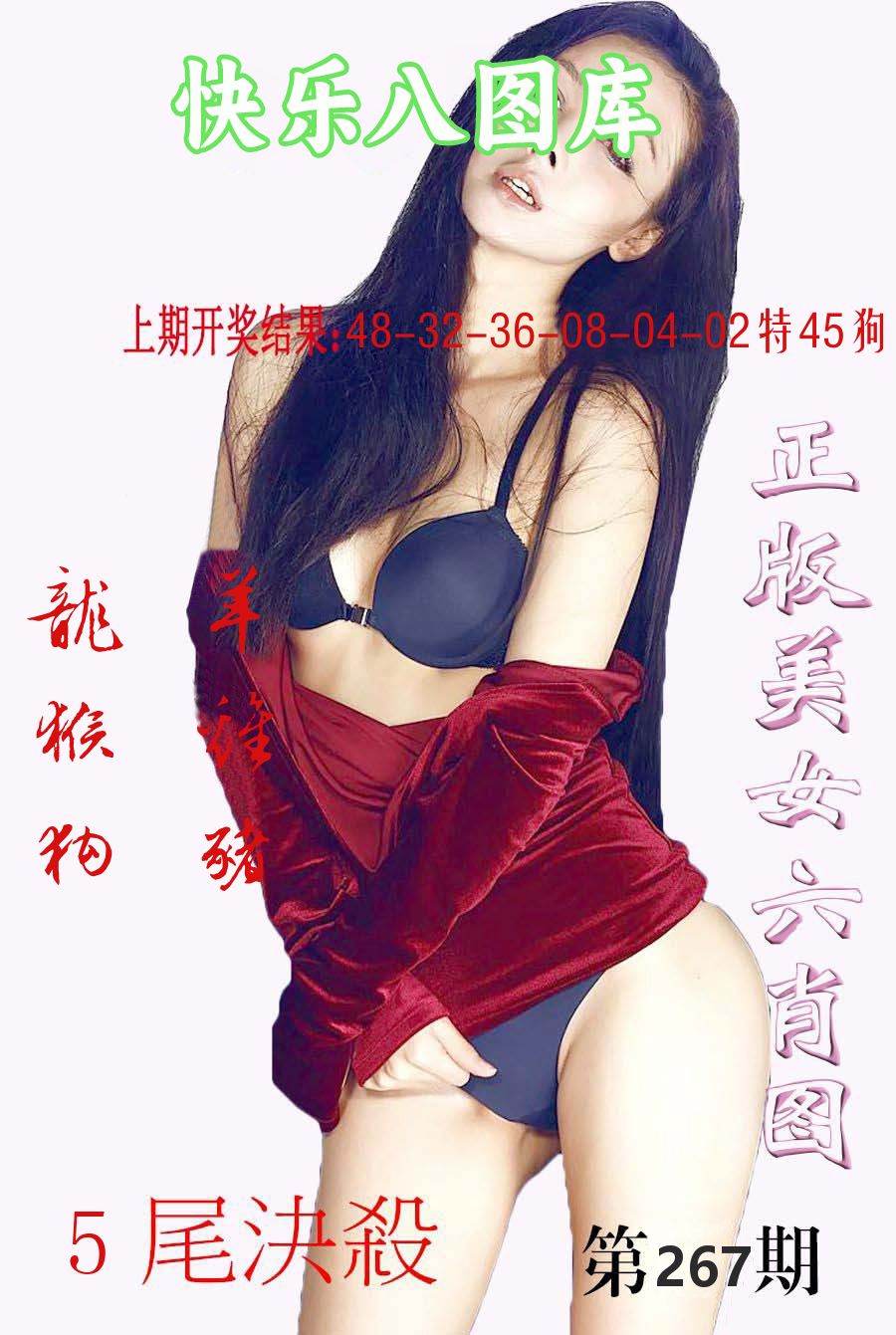 快乐八图库 第267期