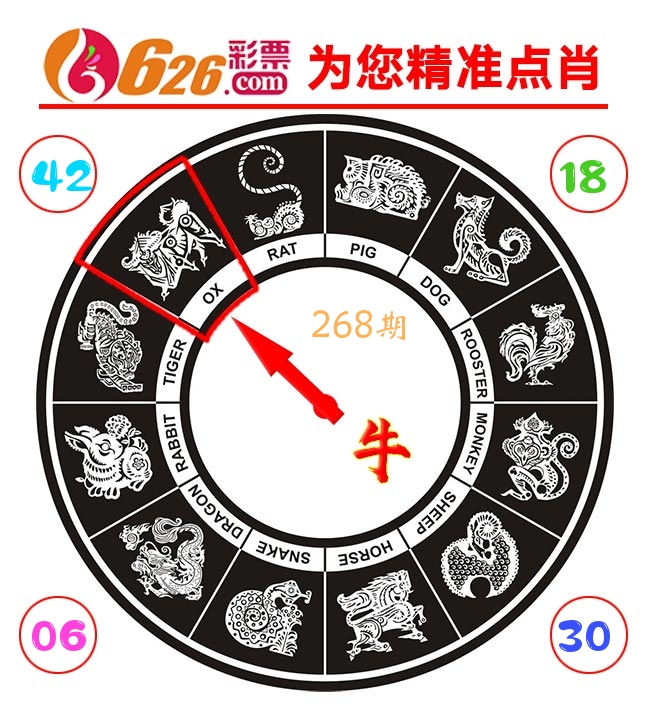 精准点肖 第267期