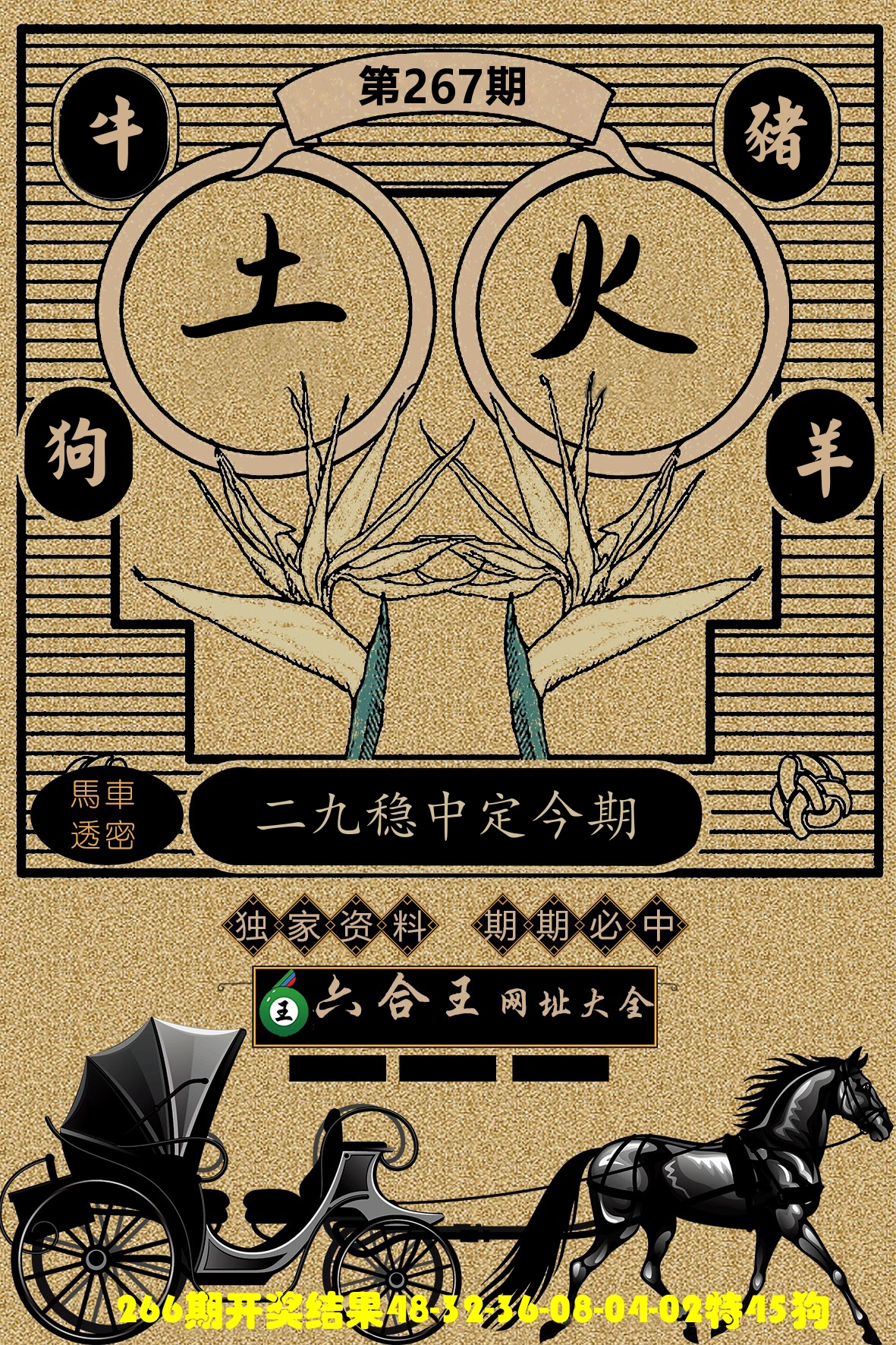 六合王马车透密 第267期