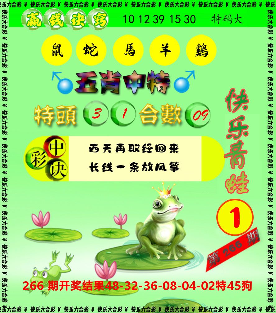 青蛙系列1 第267期