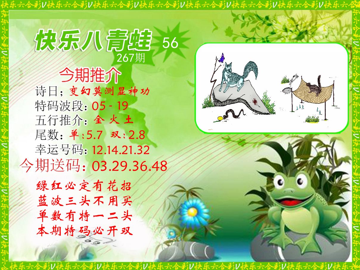 青蛙系列56 第267期