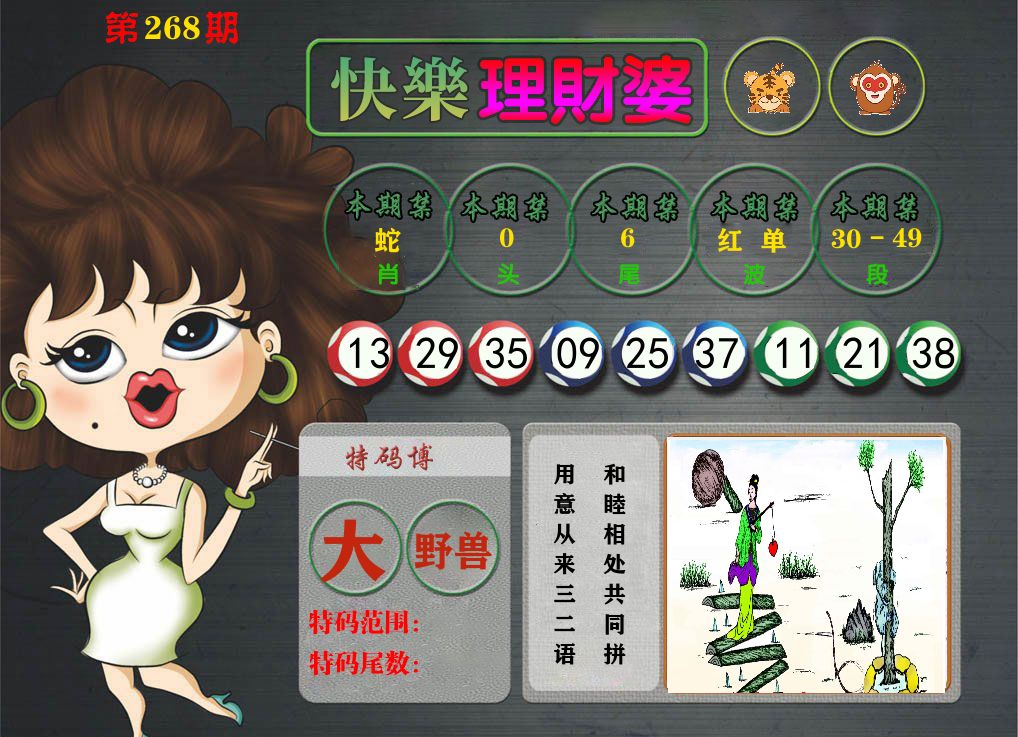 理财婆 第267期