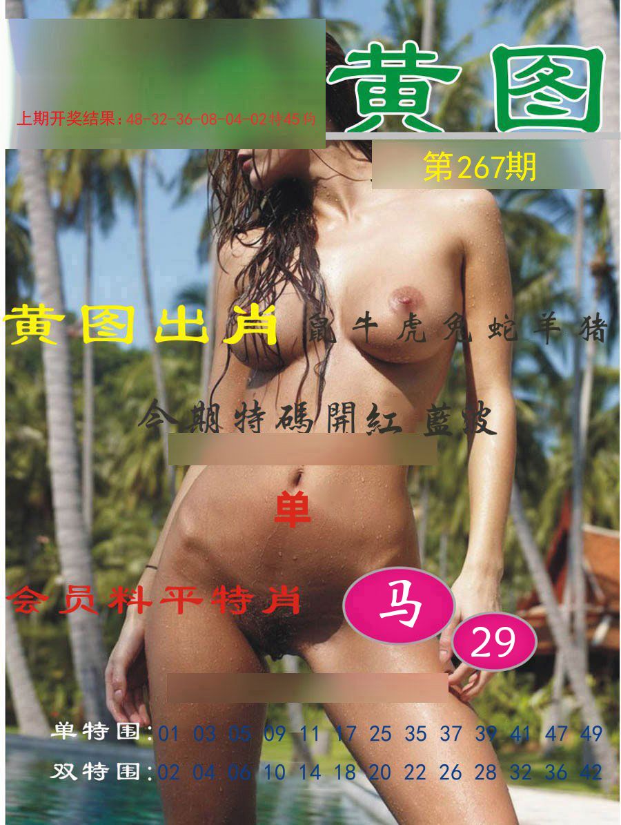 黄图出肖 第267期