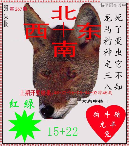 狗头报 第267期