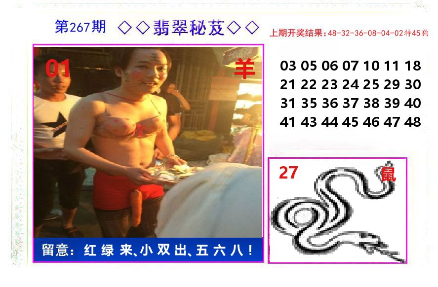 翡翠秘芨 第267期