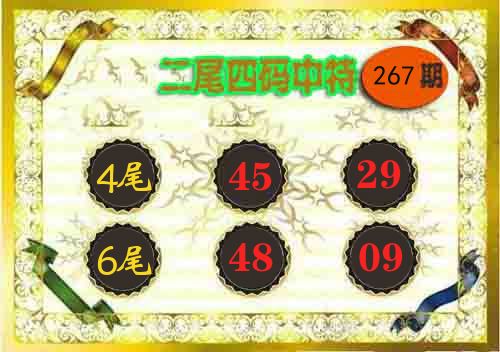 二尾四码中特 第267期