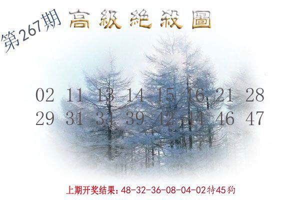 高级绝杀图 第267期