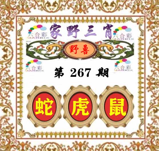 家野三肖 第267期