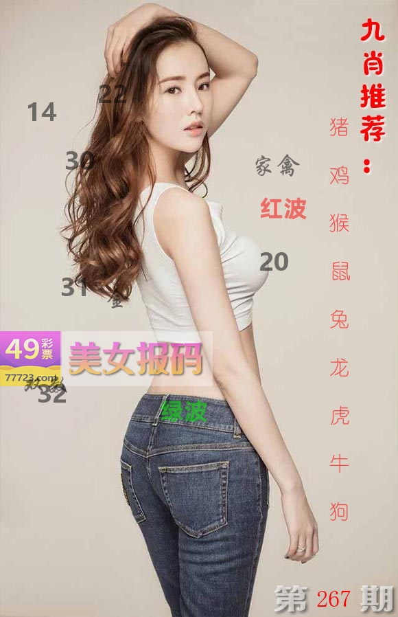美女报码 第267期