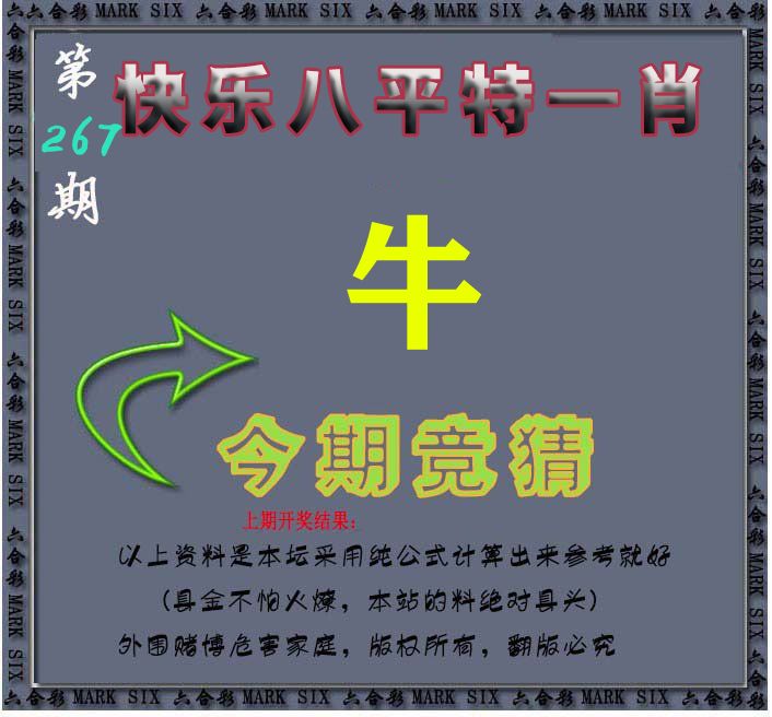 今期竞猜 第267期