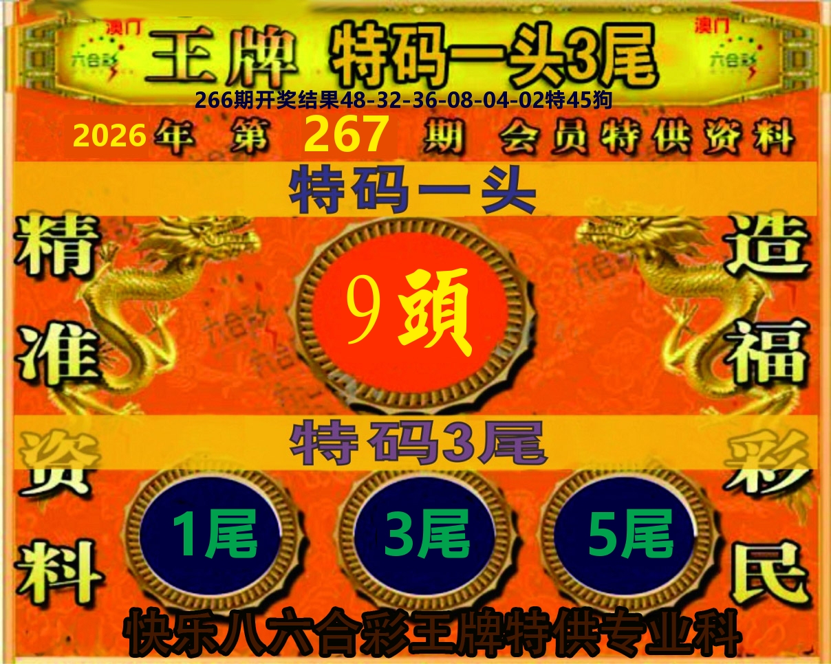 王牌特码 第267期