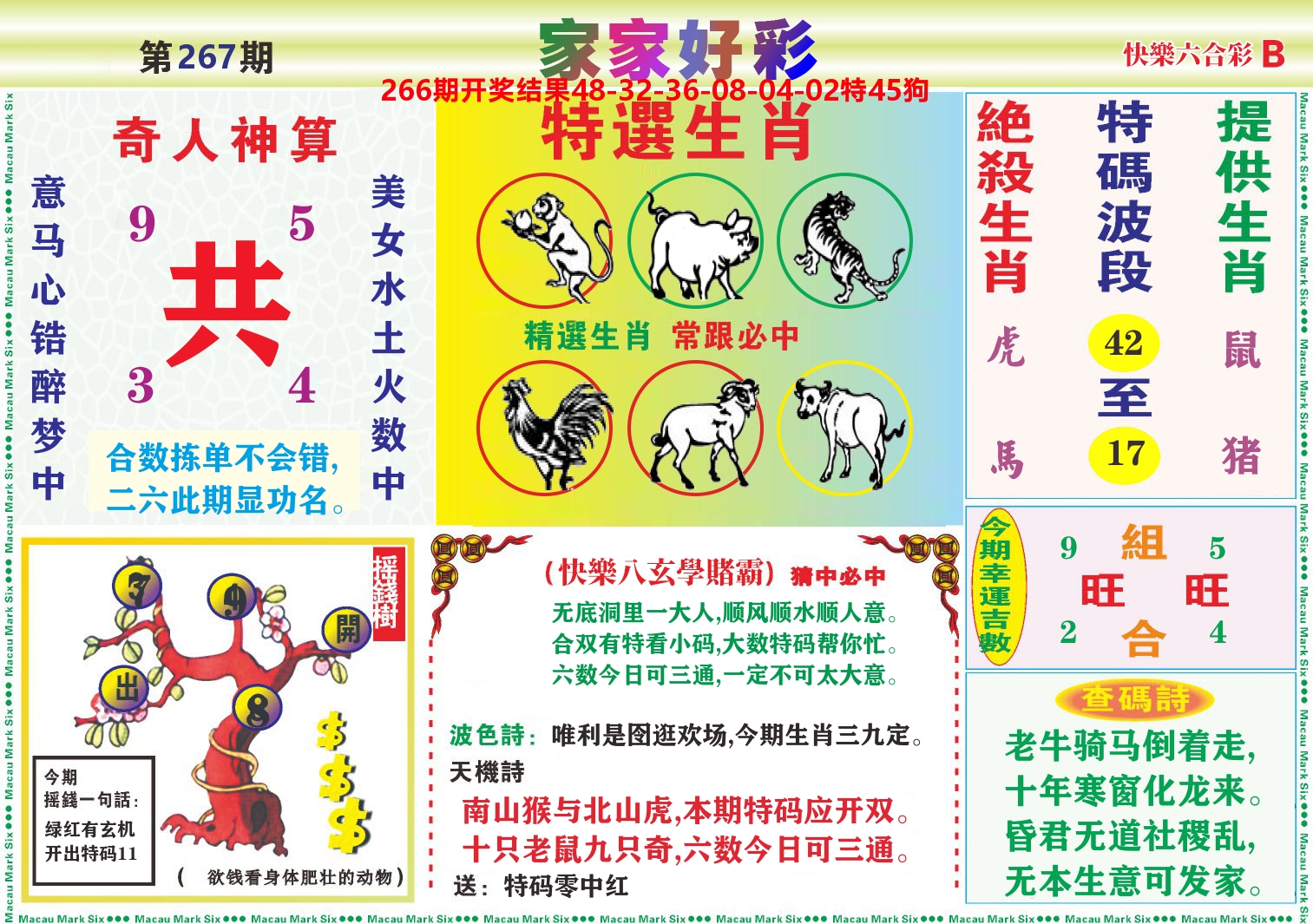 家家好彩B 第267期