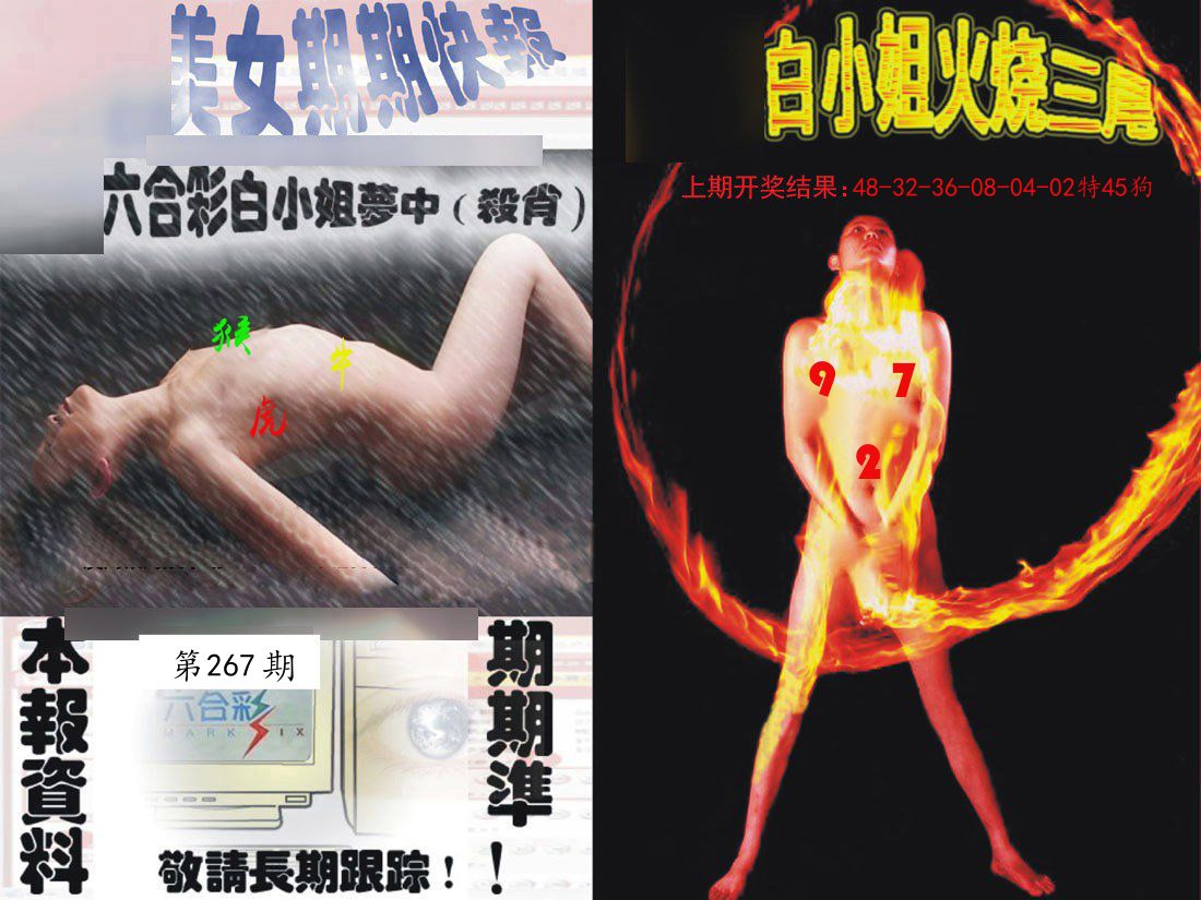 环球美女特码 第267期