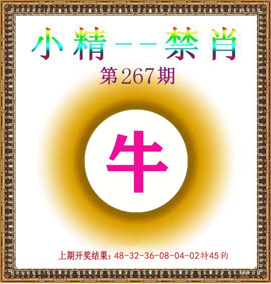 小精禁肖 第267期