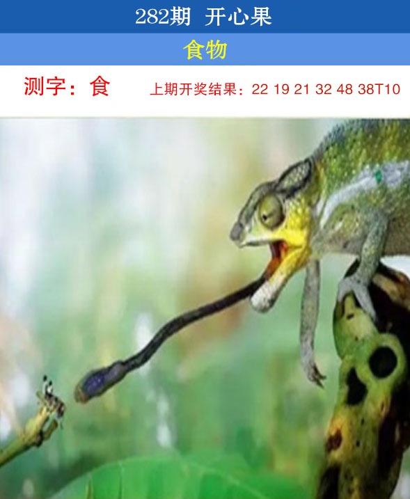 开心果 第281期