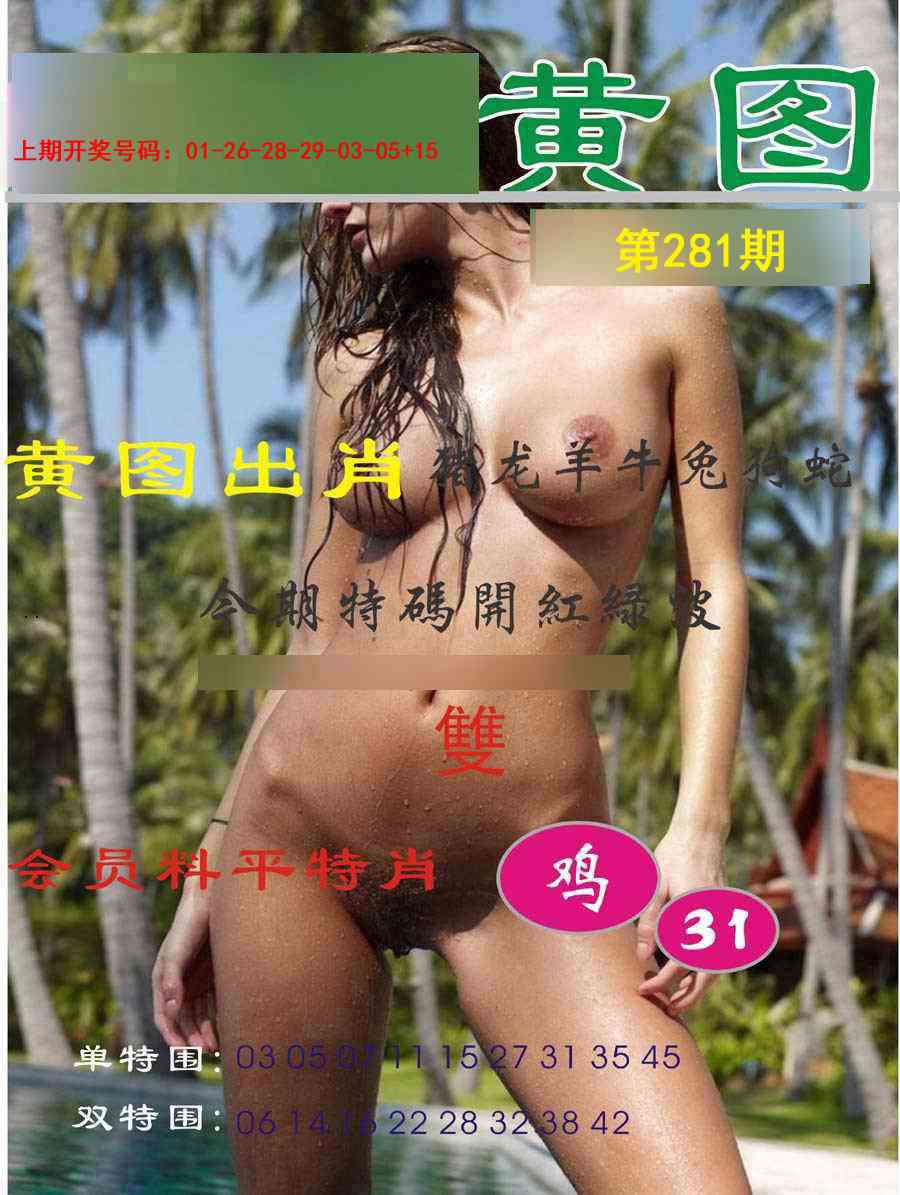 黄图 第281期