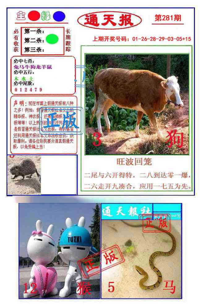 通天杀波图1 第281期