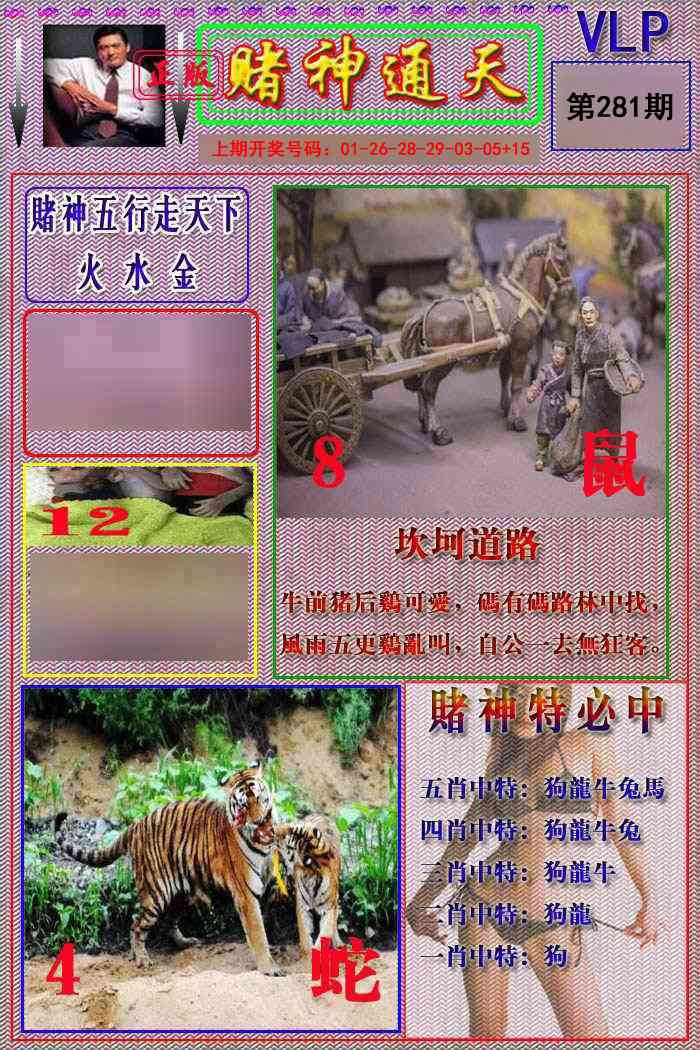 赌神通天报 第281期