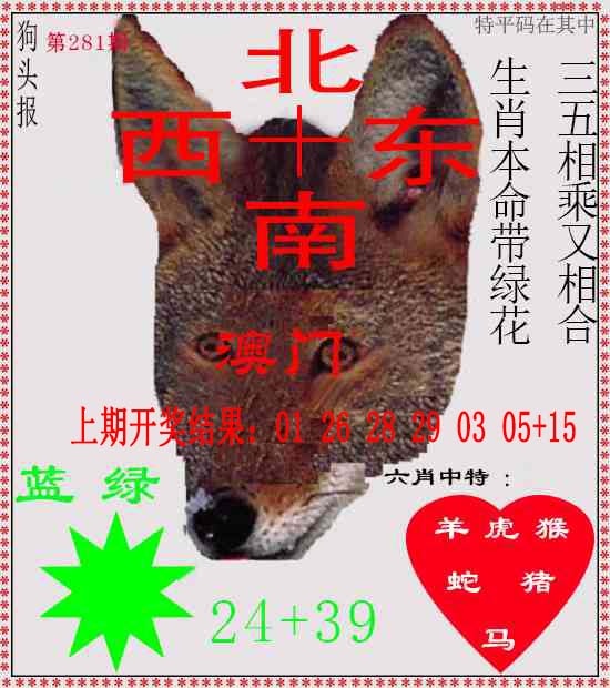 狗头报 第281期
