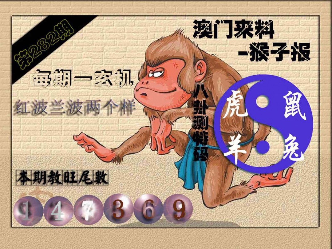 (来料)猴报 第281期