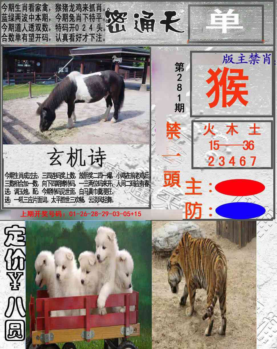 密通天 第281期