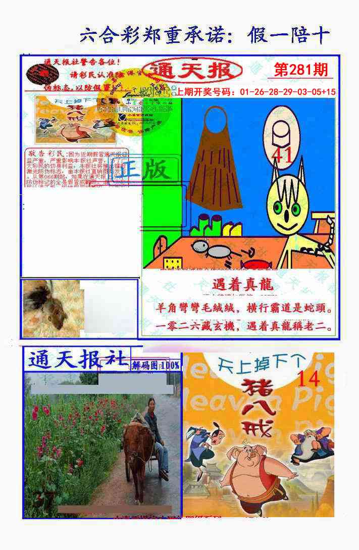 假一陪十通天报 第281期