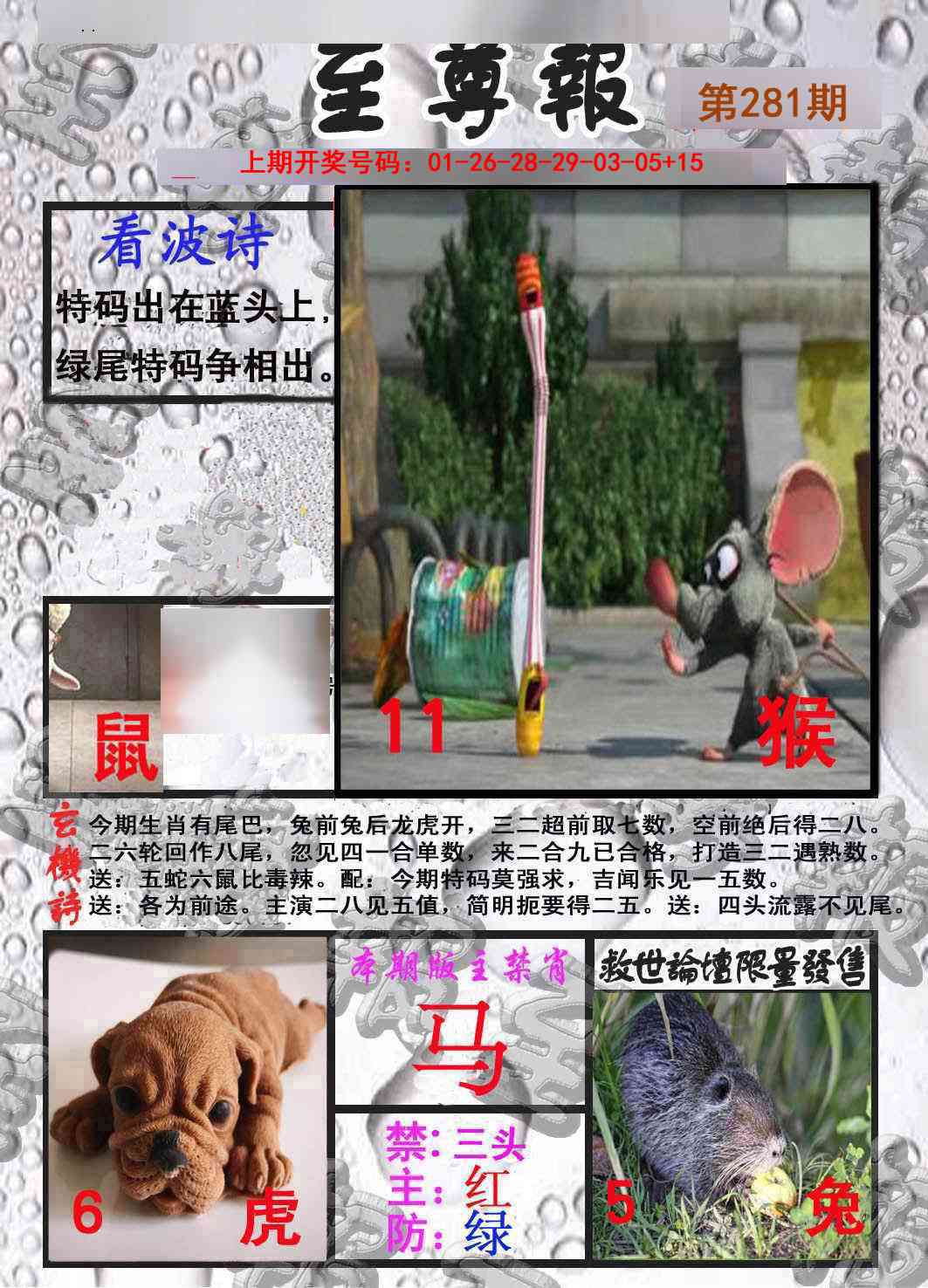 至尊报 第281期
