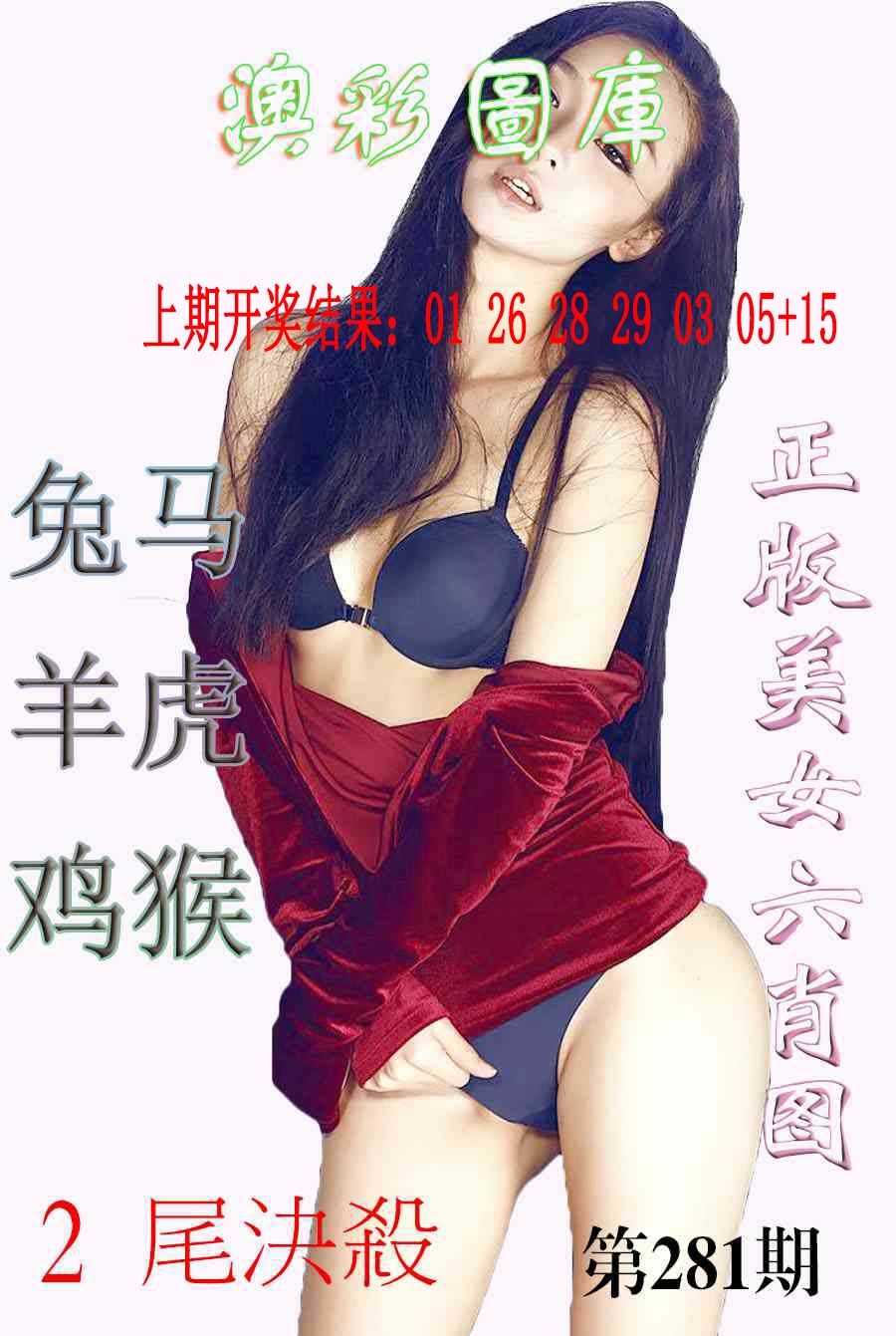 美女六肖图-1 第281期