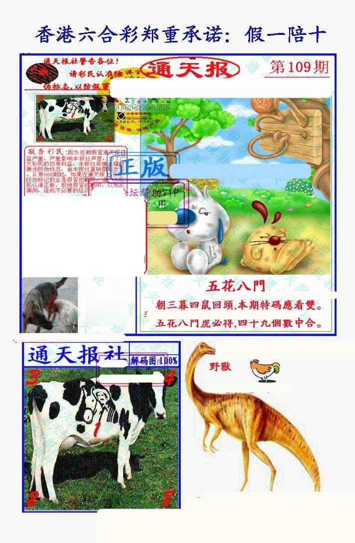 假一陪十通天报 第108期
