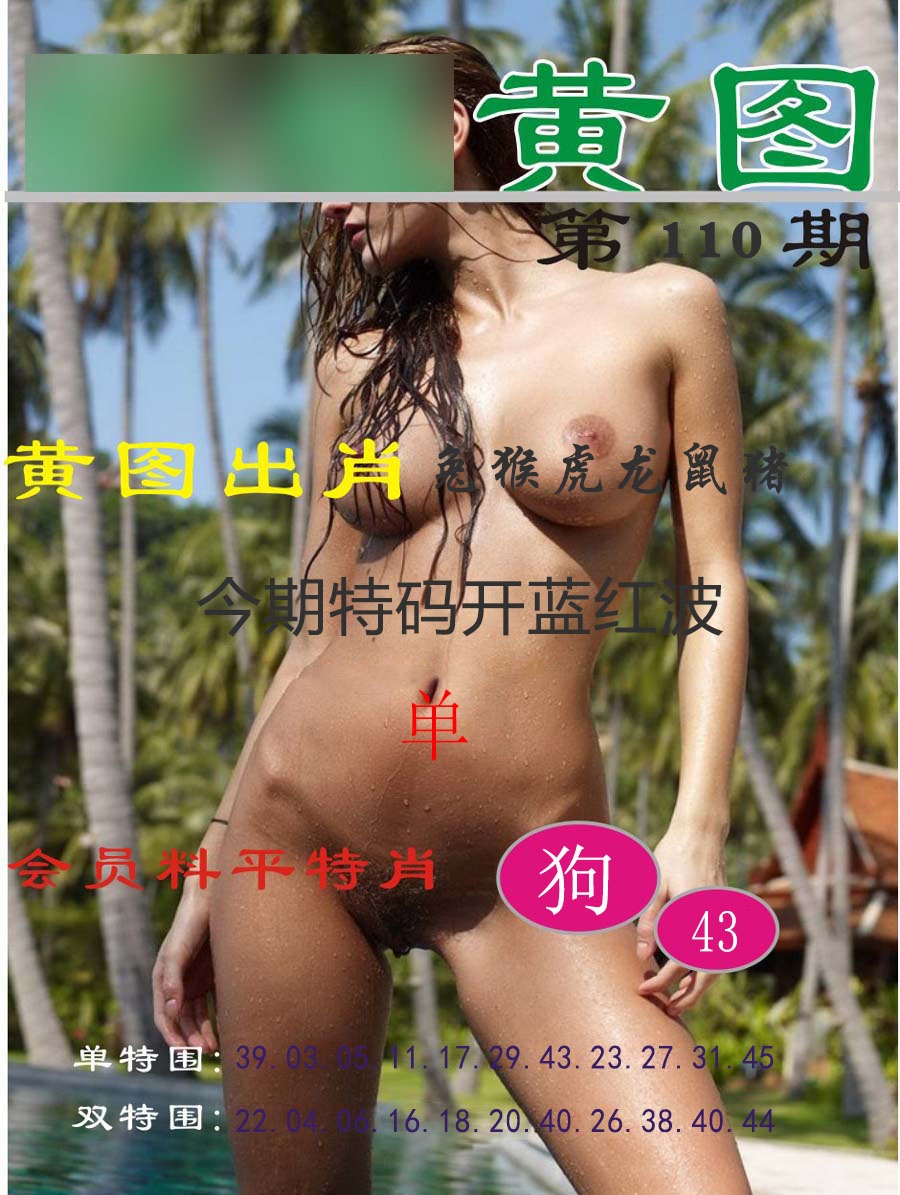 黄图 第110期