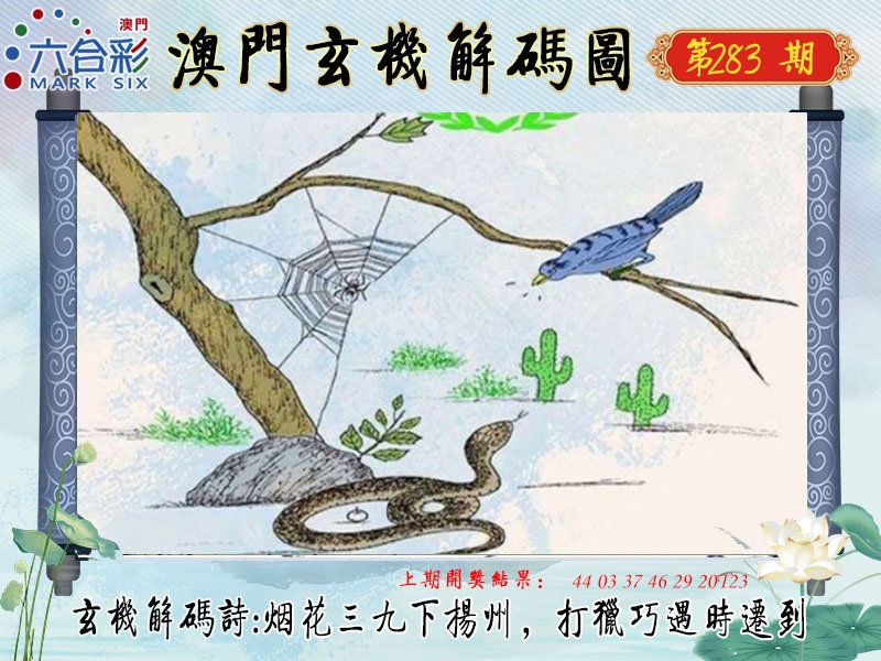 玄机解码图 第282期